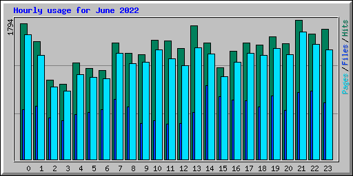 Hourly usage for June 2022