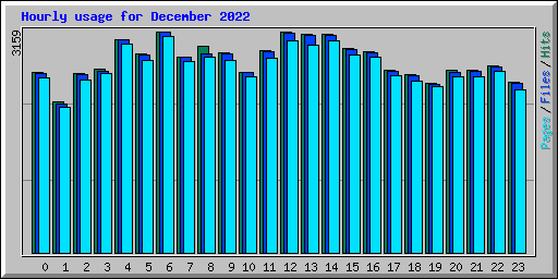 Hourly usage for December 2022