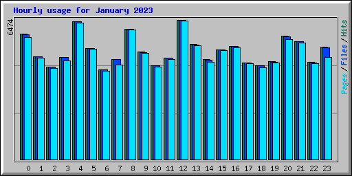 Hourly usage for January 2023